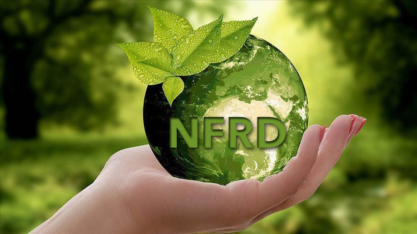 NFRD-Sostenibilita.jpg