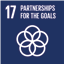 SDG 17