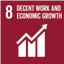 SDG 8