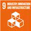 SDG 9