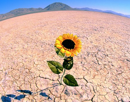 resilienza