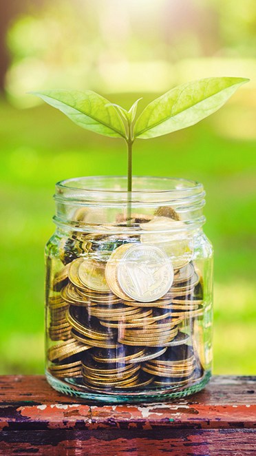 green plant growing on golden coin in glass jar on wood table in park with blur nature background. business financial banking saving concept. investment profit income. marketing startup success.