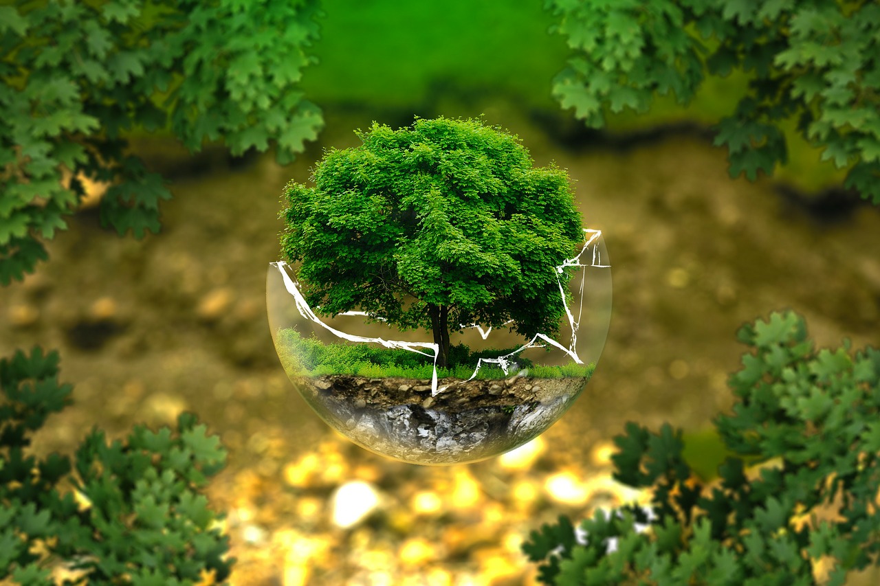 green bond